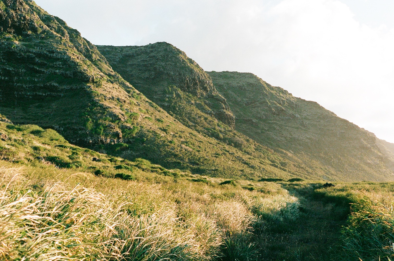 Sunlight falls across green mountain ridges and golden grasses.