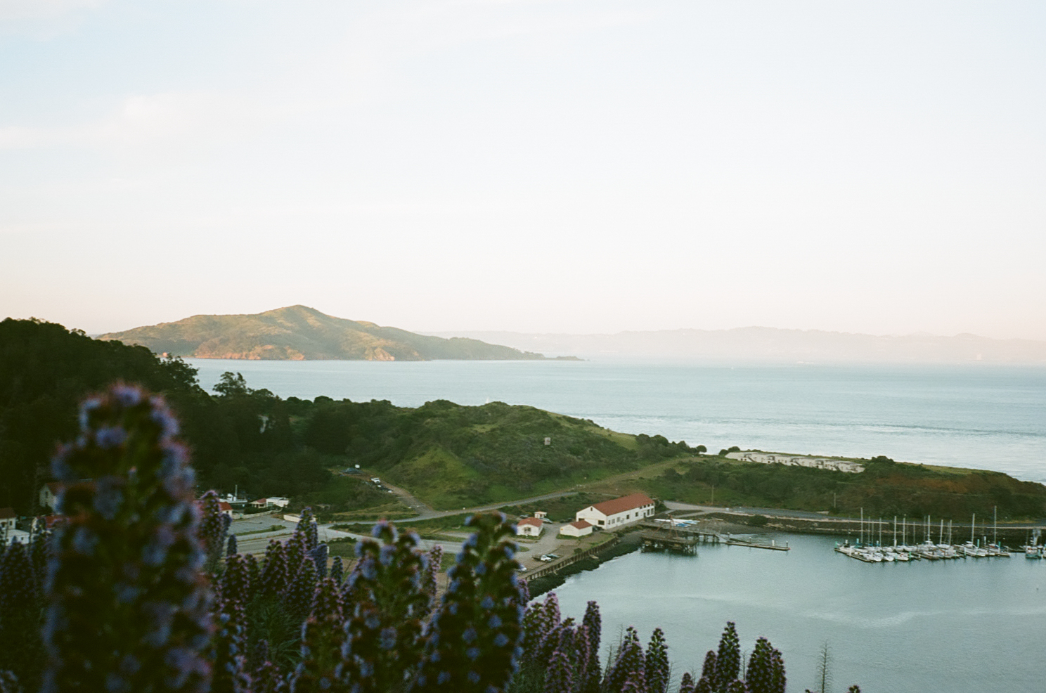 A quiet coastal harbor framed by hills and purple flowers.
